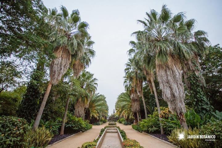 De la serie Jardines de América Latina: Jardín Botánico de Culiacán