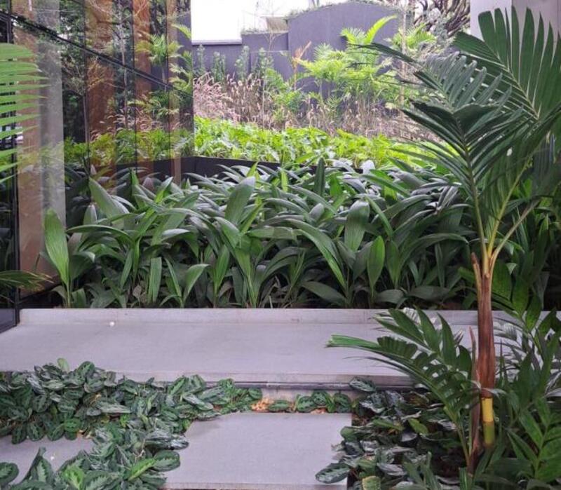 Proyecto de paisajismo en el Ed. Lumens