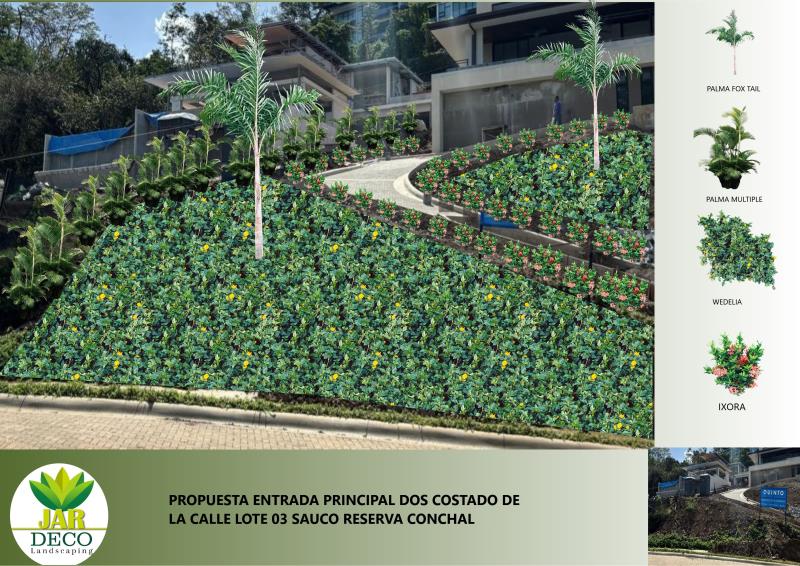 Gestión fotográfica realizada por Jardeco