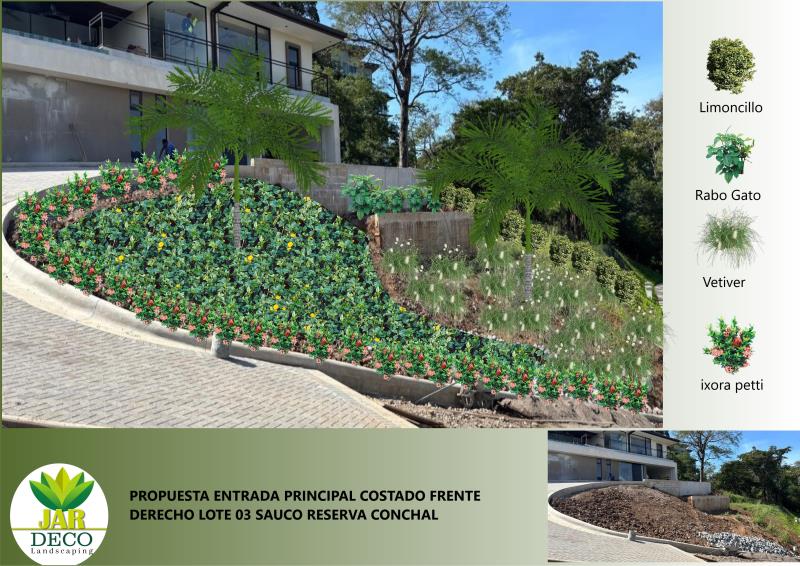 Gestión fotográfica realizada por Jardeco Gestión fotográfica realizada por Jardeco