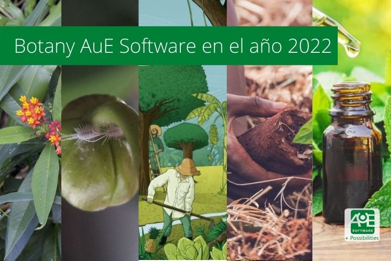 Revisión de la botánica de los programas de software AuE 2022