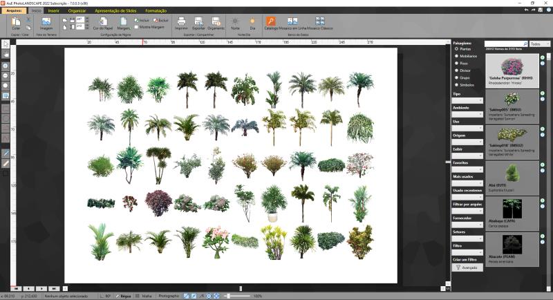 Mapas - 2023 - Arbustos y palmeras
