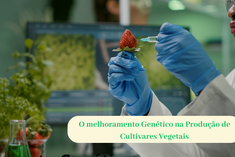 Mejoramiento genético en la producción de cultivares vegetales