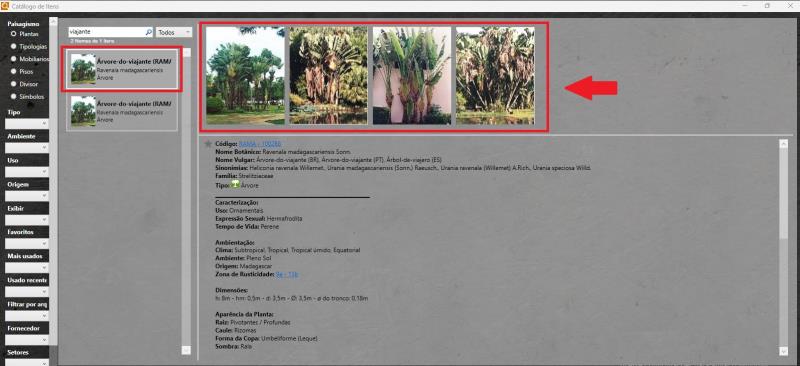 Vista previa de fotos pequeñas en el catálogo de software