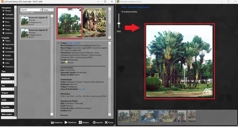 Ver fotos en varios tamaños en el catálogo de software