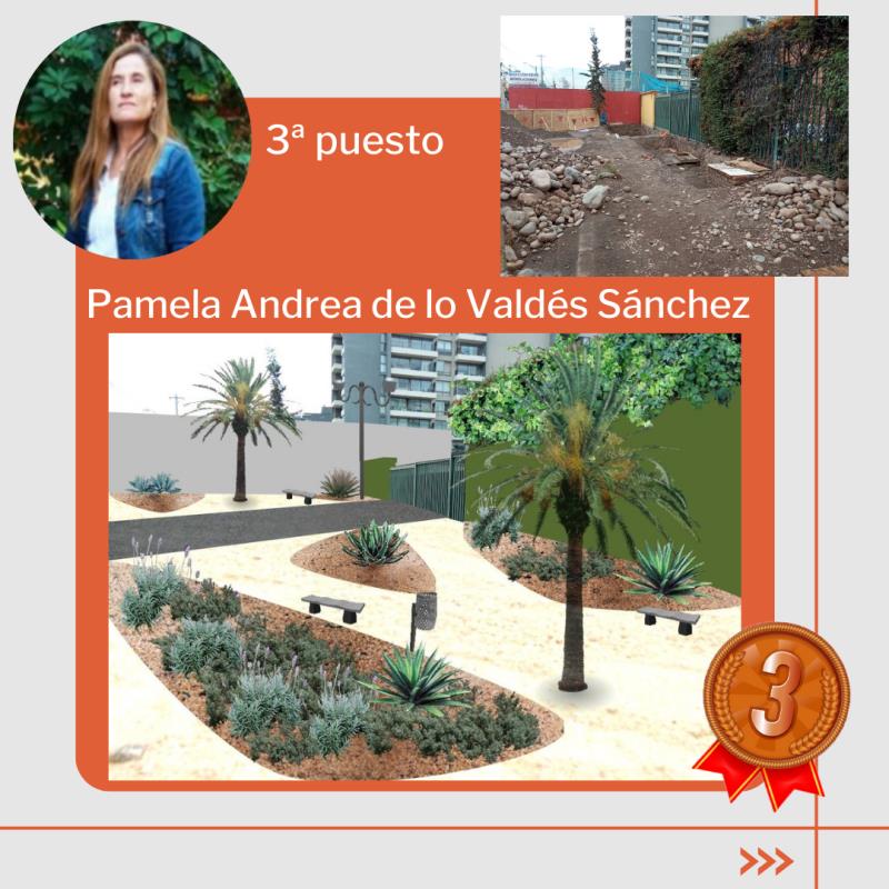 Proyecto de Pamela Andrea Valdés