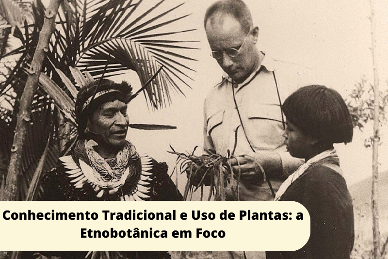 Conocimientos tradicionales y uso de plantas: la etnobotánica en el punto de mira