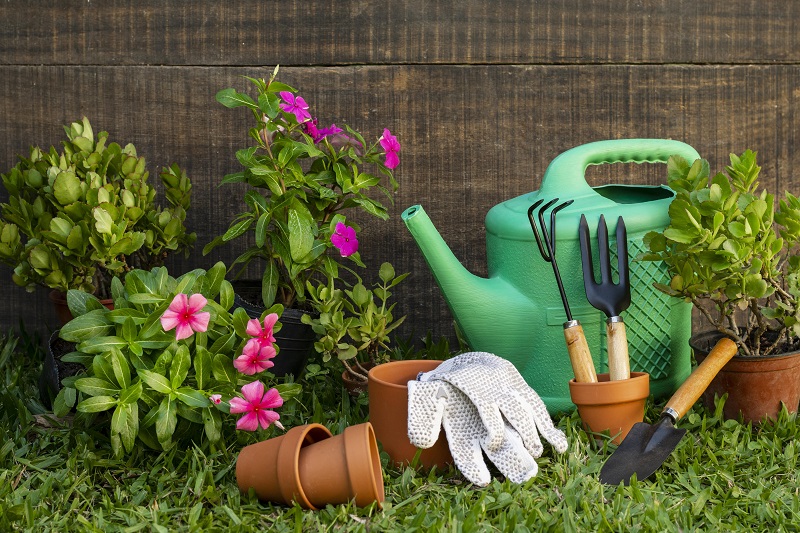 Echa un vistazo a 9 opciones gratuitas de cursos de paisajismo y jardinería online