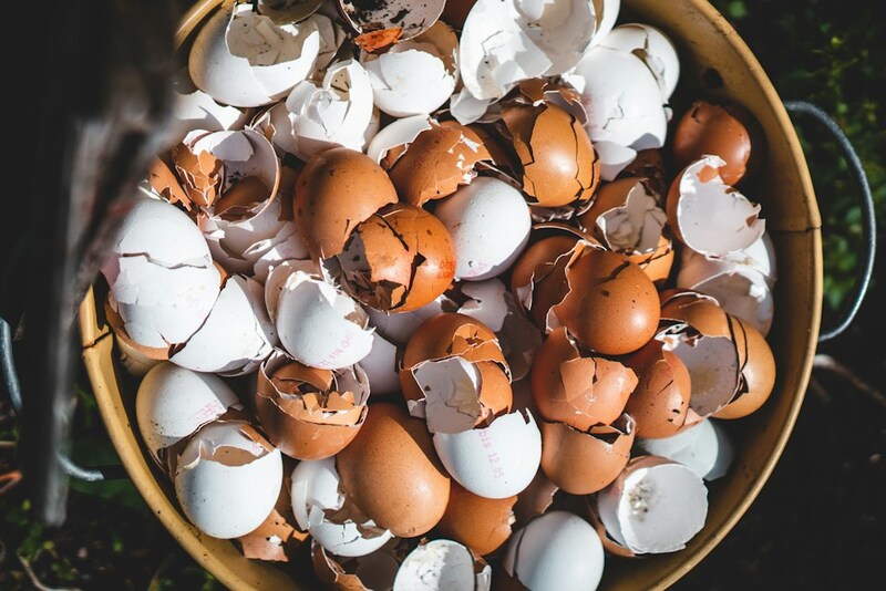 Comprenda cómo las cáscaras de huevo pueden revolucionar su jardín