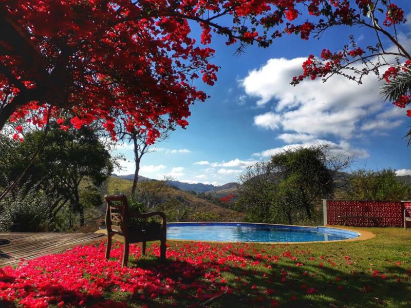 Diseño de paisaje ganador de la categoría profesional en el concurso "El jardín más bello de Brasil", de André Luis Cenak