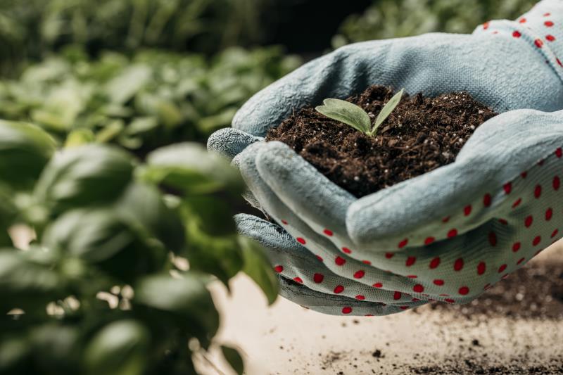 Fertilizante vivo: Cultivando un Jardín Sostenible con Bokashi