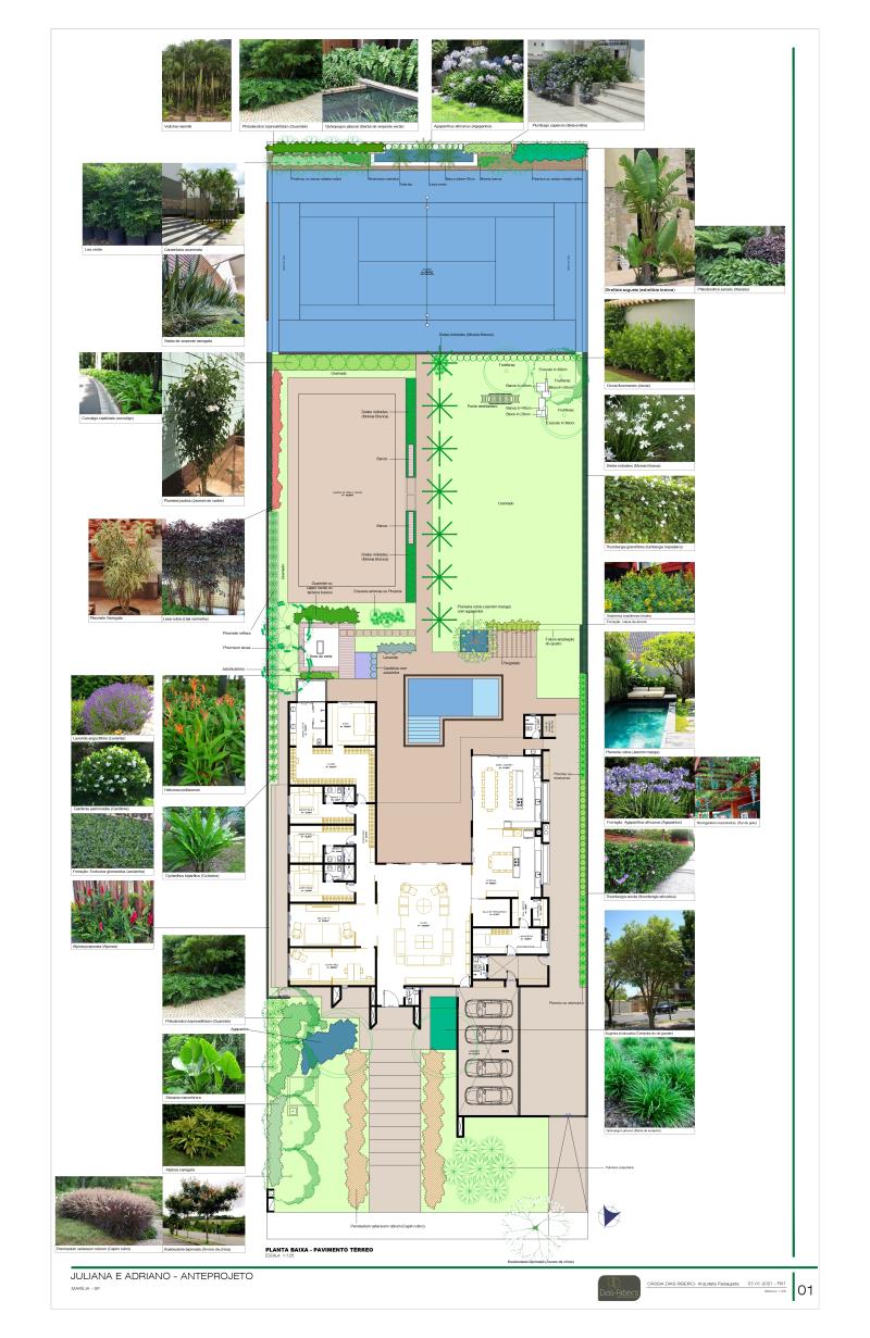  Proyecto realizado por Cássia Dias