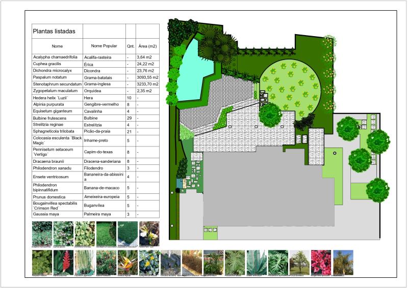 Proyecto de Rosa reproducido en nuestro software