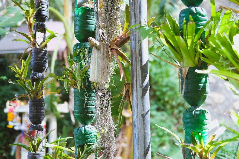  Jardín vertical con botellas de PET