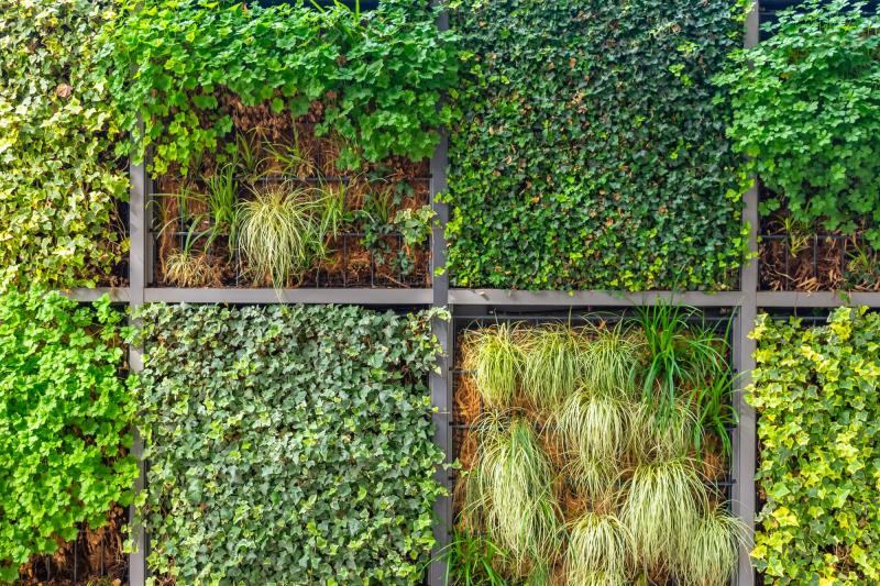 Jardines verticales: las tecnologías modulares facilitan la implantación