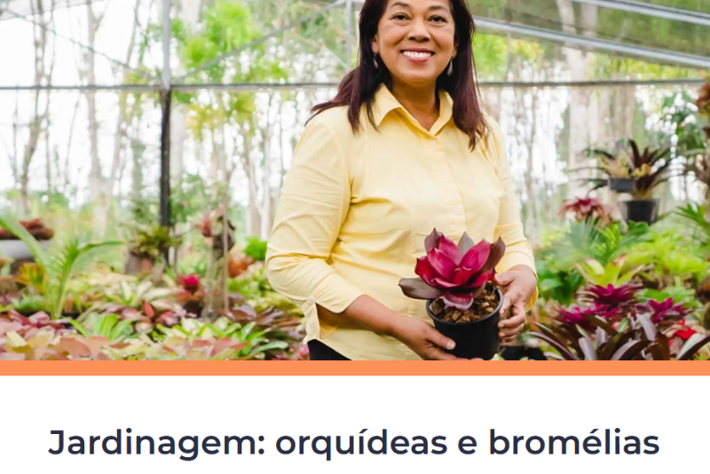 Curso de jardinería: Cultivo de orquídeas y bromelias