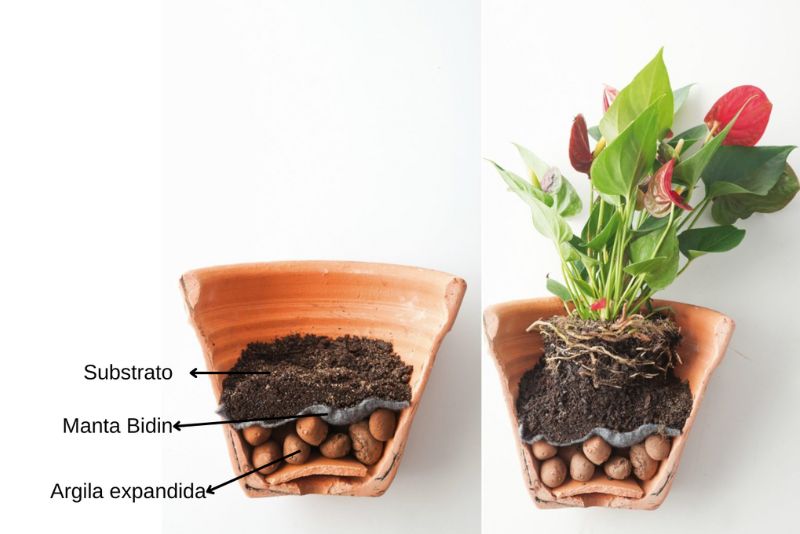  Capas de plantación