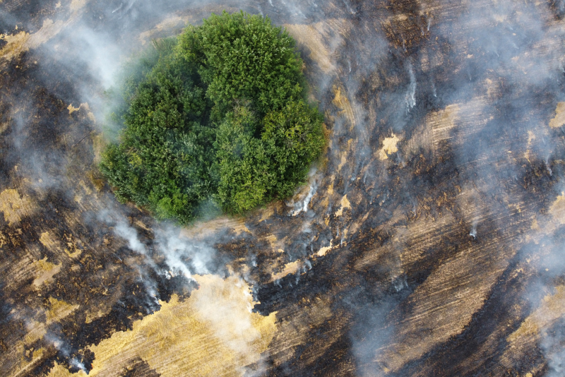 Cómo la arquitectura paisajística puede minimizar los efectos del cambio climático