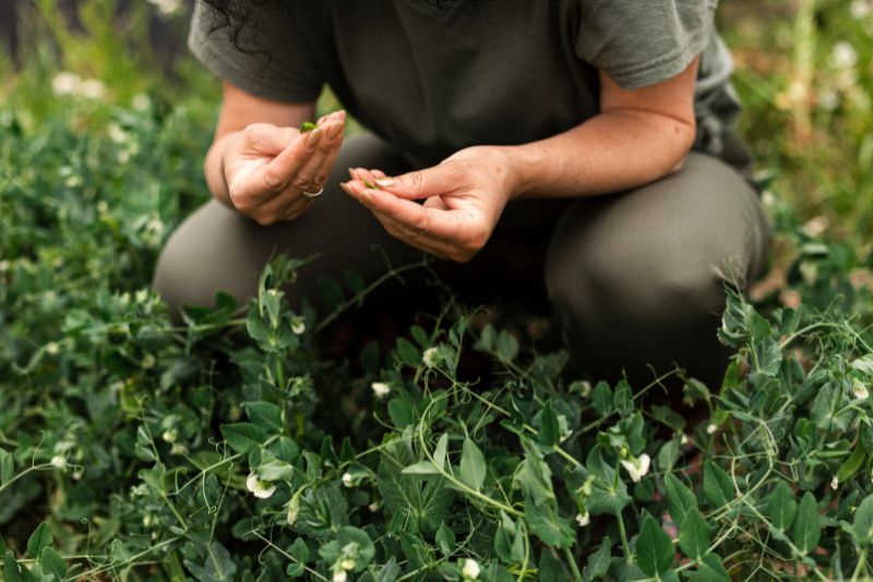 Contacto humano con la naturaleza Contacto humano con la naturaleza