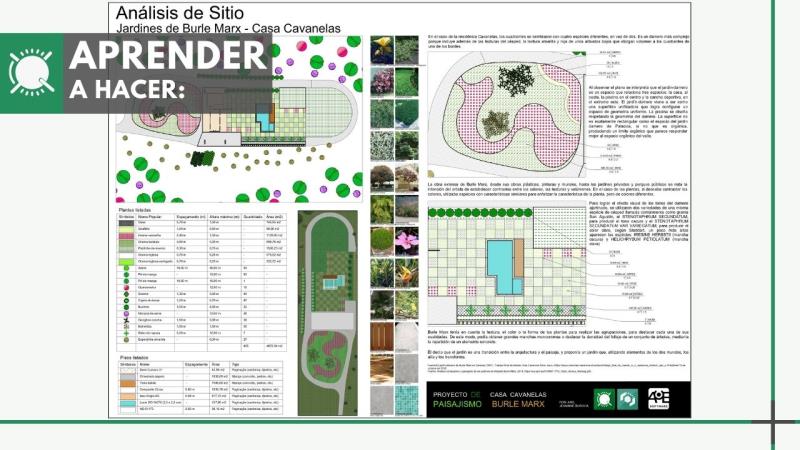 Webinar parte 1: Aprenda a crear los jardines Burle Marx de Casa Cavanelas