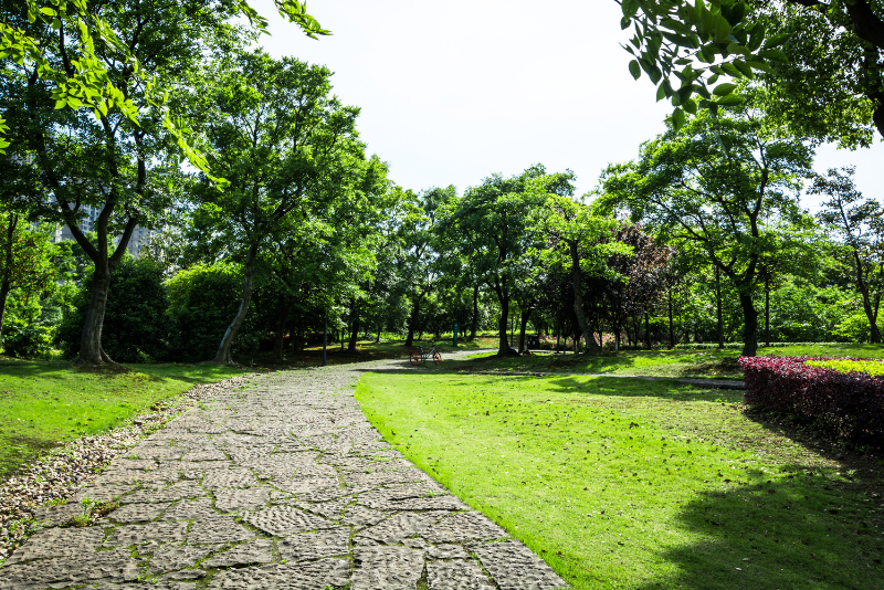 Infraestructuras verde-azul-gris: una solución para refrescar y mejorar el bienestar urbano