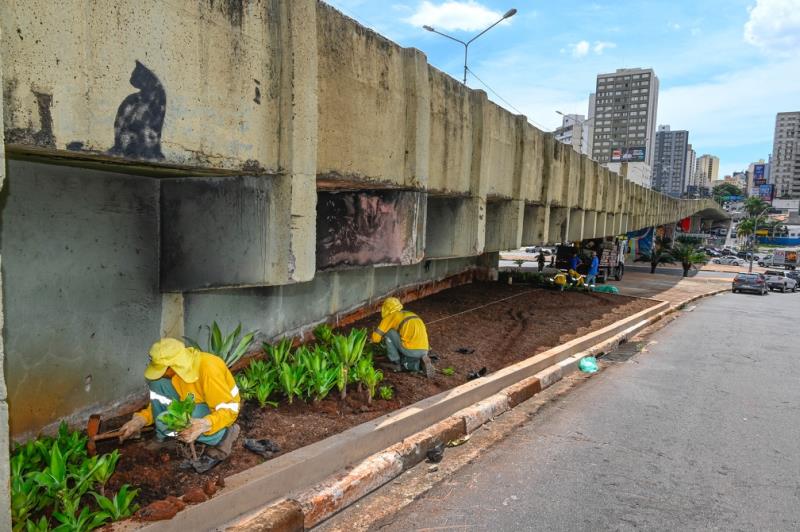 Un nuevo paisaje transforma el viaducto Laurão de Campinas con 500 plantones