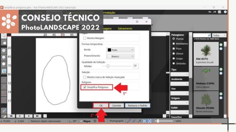 PhotoLANDSCAPE 2022: Simplificación de polígonos