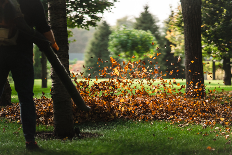 Jardín en el otoño Jardín en el otoño