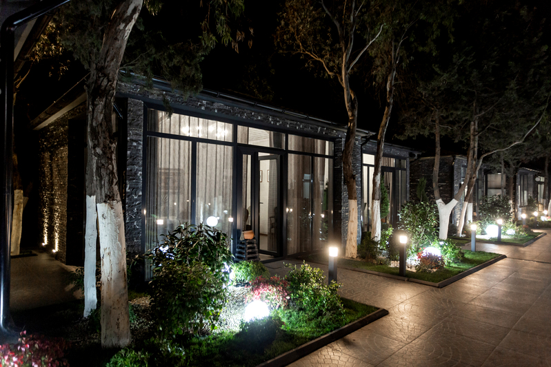 La luz adecuada: cómo realzar los árboles con iluminación exterior