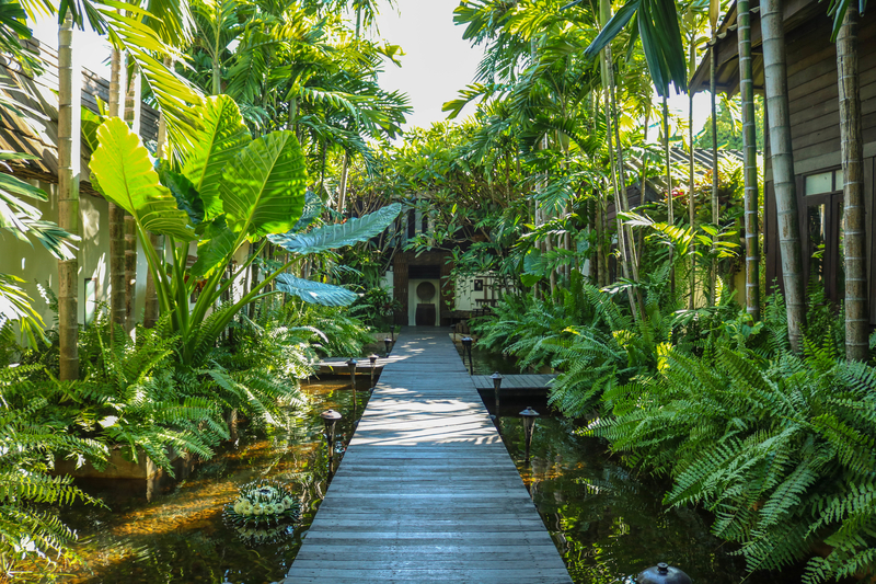  Jardín Tropical