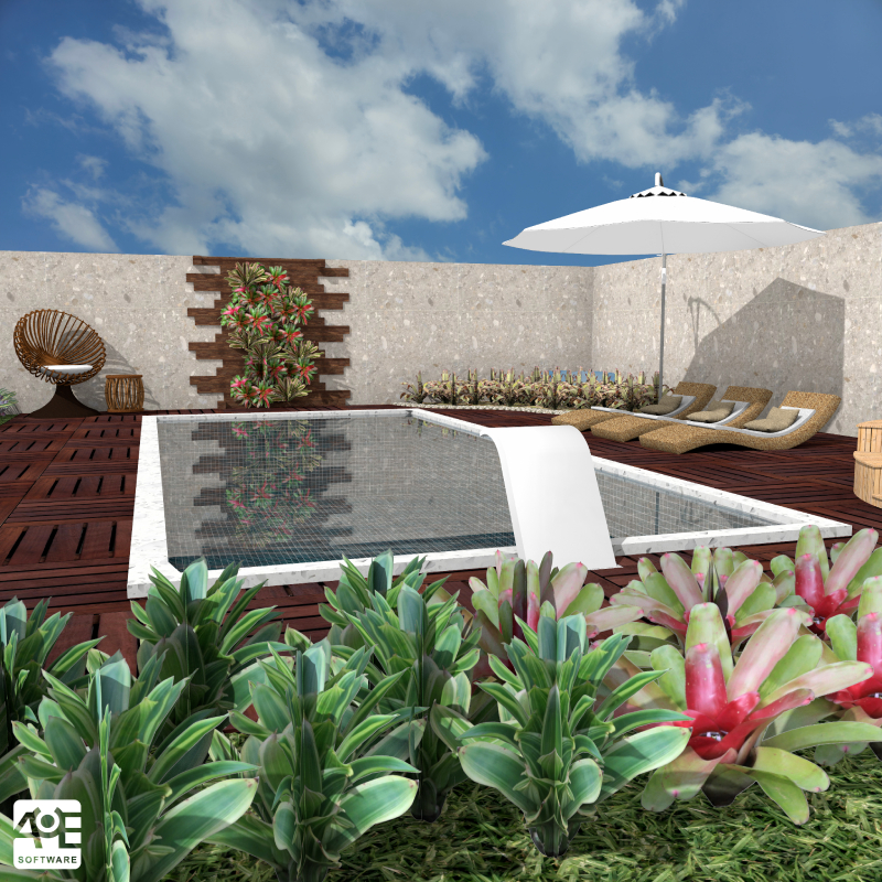 Colección de Bromeliáceas: Mapas de Neoregelias Llenas de Belleza para Proyectos de Paisajismo
