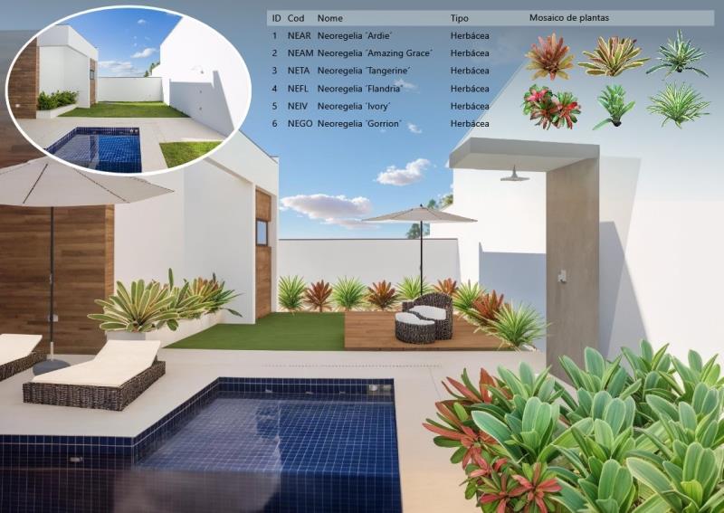 Proyecto utilizando algunas de las nuevas plantas en el software PhotoLANDSCAPE