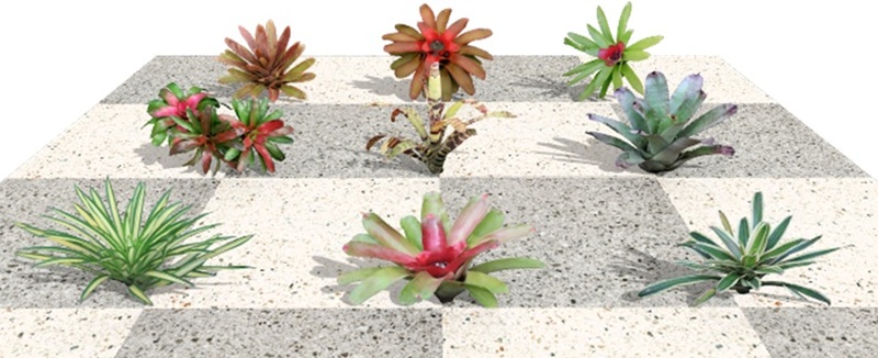 Nuevas plantas en el software VisualPLAN