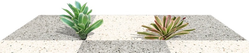 Nuevas plantas en el software VisualPLAN