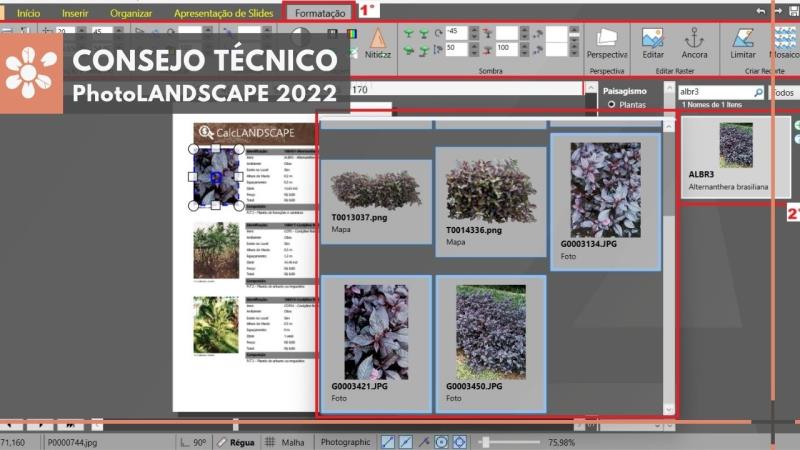 PhotoLANDSCAPE 2022: Personalización y edición de informes presupuestarios