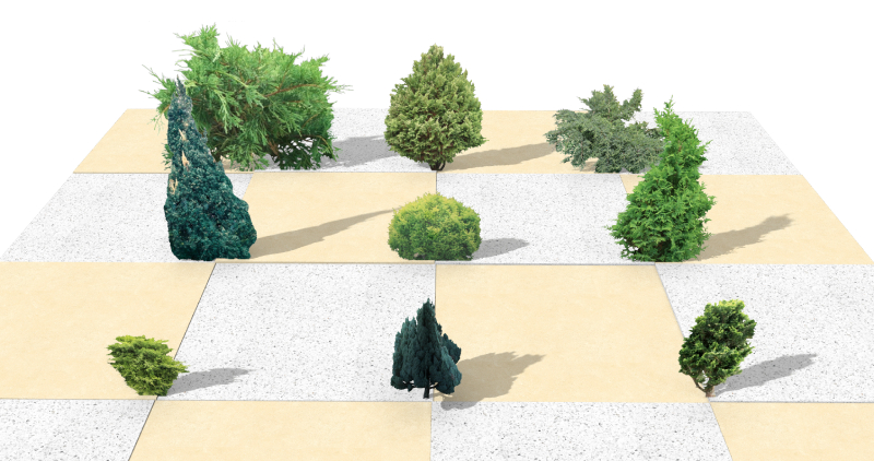 Plano superior del proyecto con nuevas especies en el software VisualPLAN