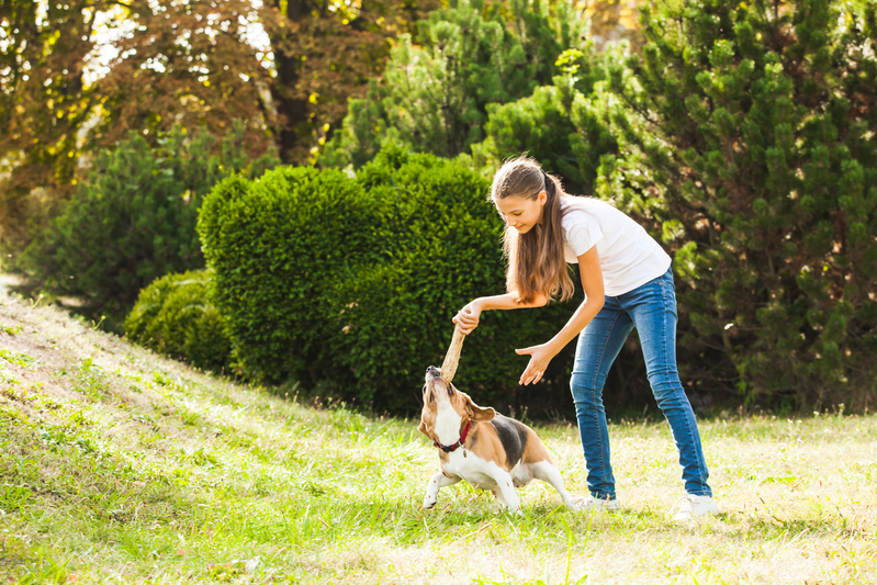 jardines aptos para mascotas