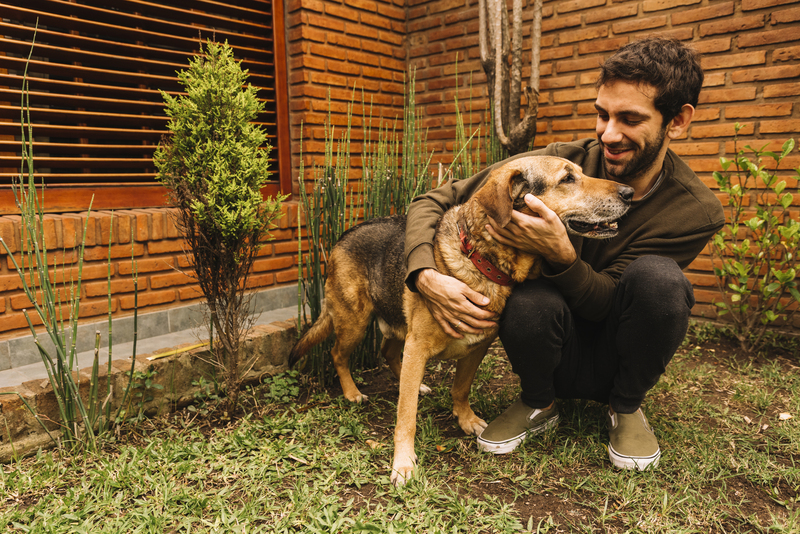 jardines aptos para mascotas