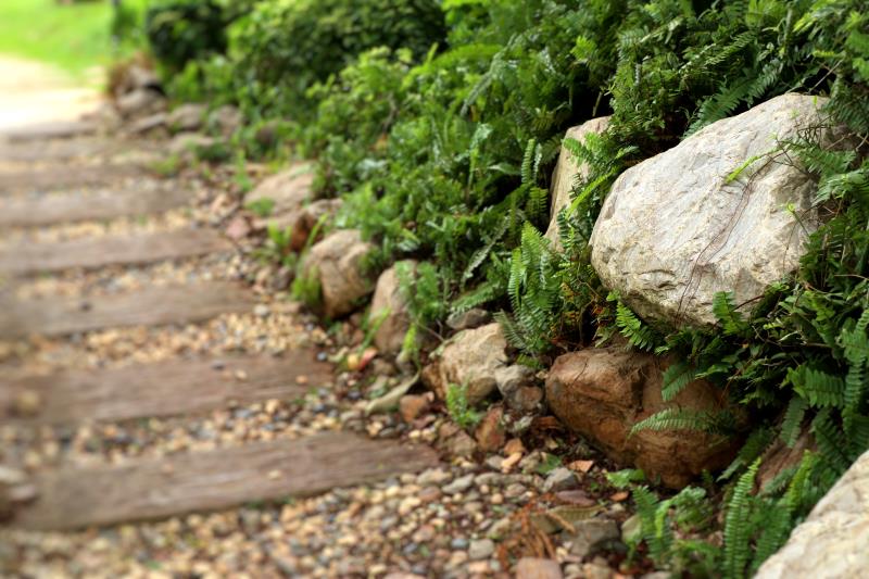 Piedras en el jardín: belleza, funcionalidad y armonía natural