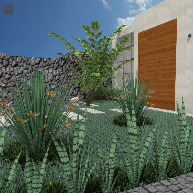 ¡Descubra la nueva colección de plantas en 3D para que sus proyectos sean increíbles!