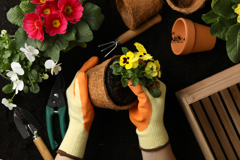 Cuidados esenciales de las plantas Cuidados esenciales de las plantas