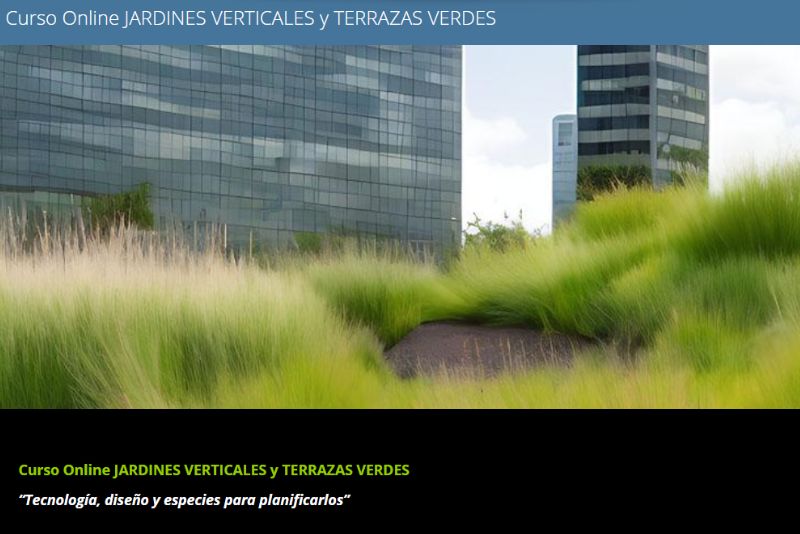 Curso Online de Jardines Verticales y Terrazas Verdes: Soluciones Verdes para la Ciudad