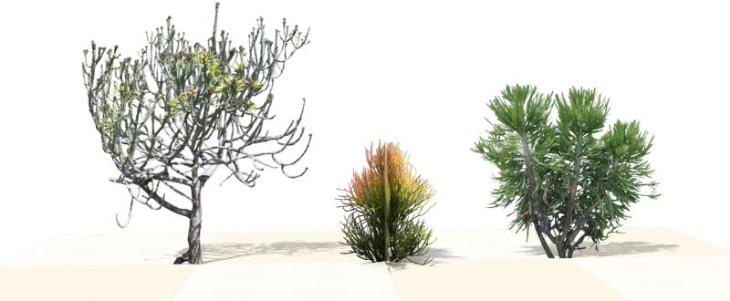 Planta superior de proyecto con especies nuevas en el software VisualPLAN