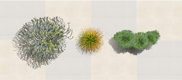 Plantas humanizadas de las especies nuevas en el software VisualPLAN