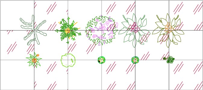 DWGs de las especies nuevas del software AutoLANDSCAPE