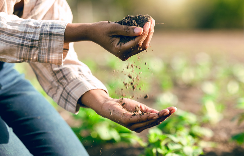 Fertilización en su jardín Fertilización en su jardín