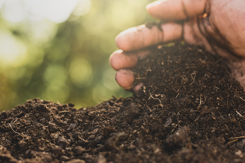  Fertilización en su jardín