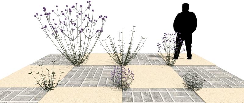 Imagen renderizada en VisualPLAN.
