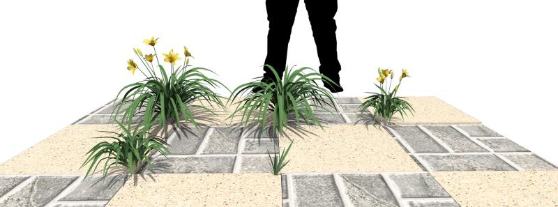 Imagen renderizada en VisualPLAN.
