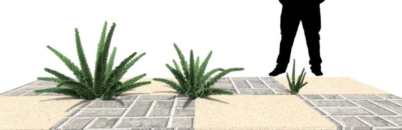 Imagen renderizada en VisualPLAN.